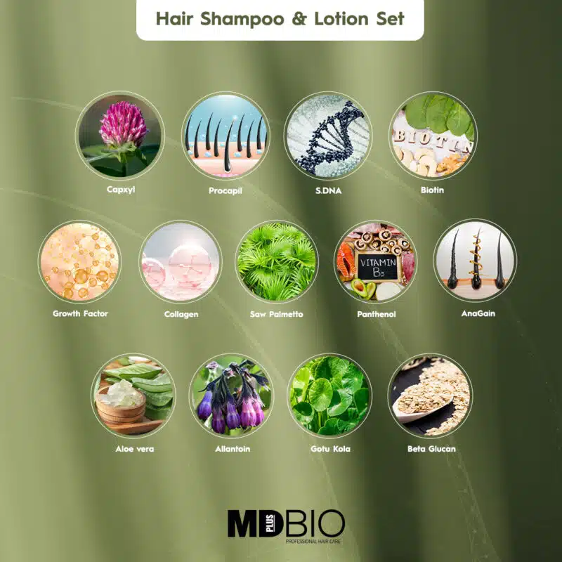 Haarshampoo und Lotion Set – Bild 7