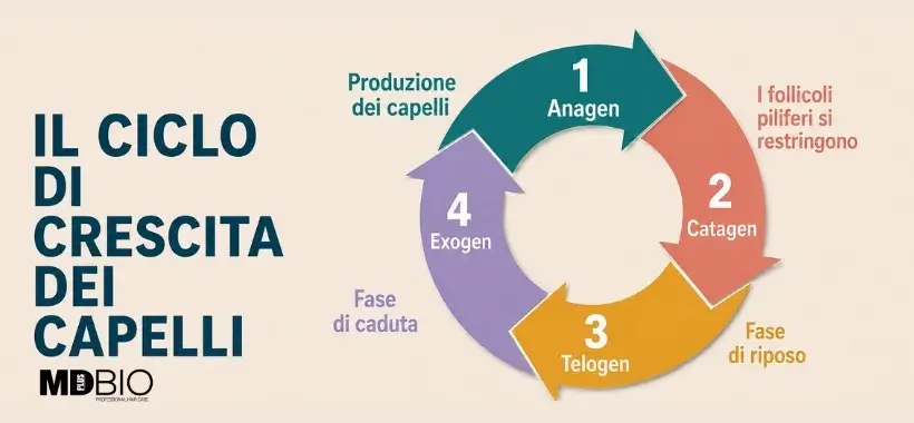 Il ciclo di crescita dei capelli: comprendere le fasi anagen, catagen e telogen